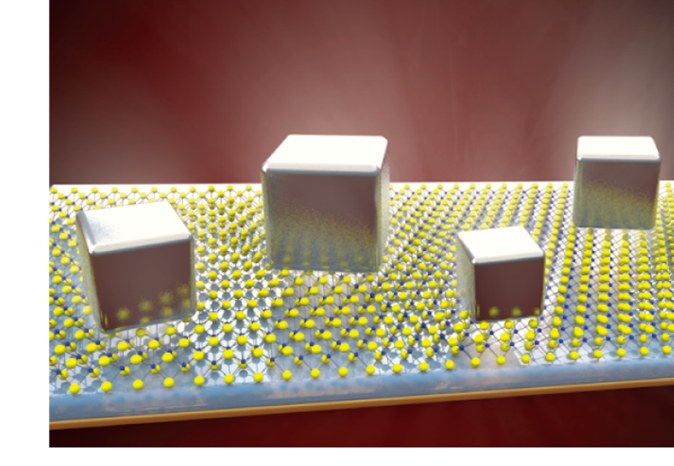 Illustration of silver nanocubes on a monolayer of MoS2 over a gold film, forming nanogap cavities around the two-dimensional material.