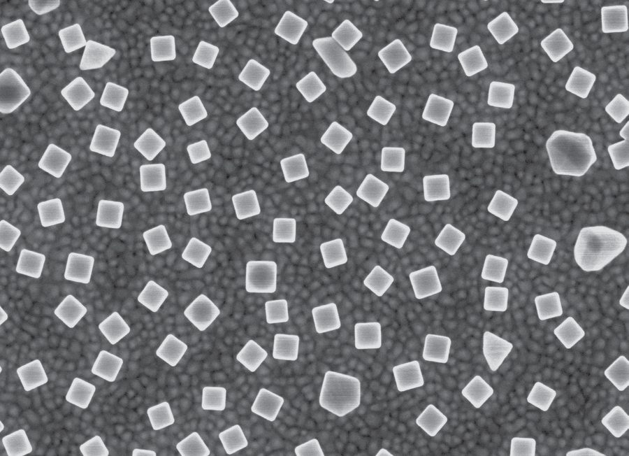 Top-down scanning electron micrograph of silver nanocubes distributed over a gold film.
